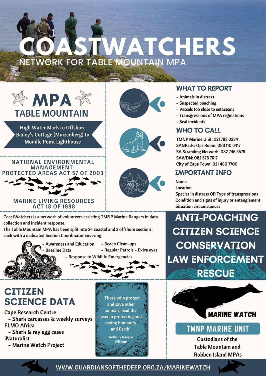 Update image